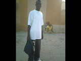Vido metza
